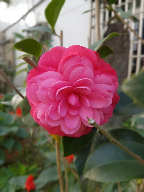 吾居吾宿 Zhixue ภายนอก รูปภาพ